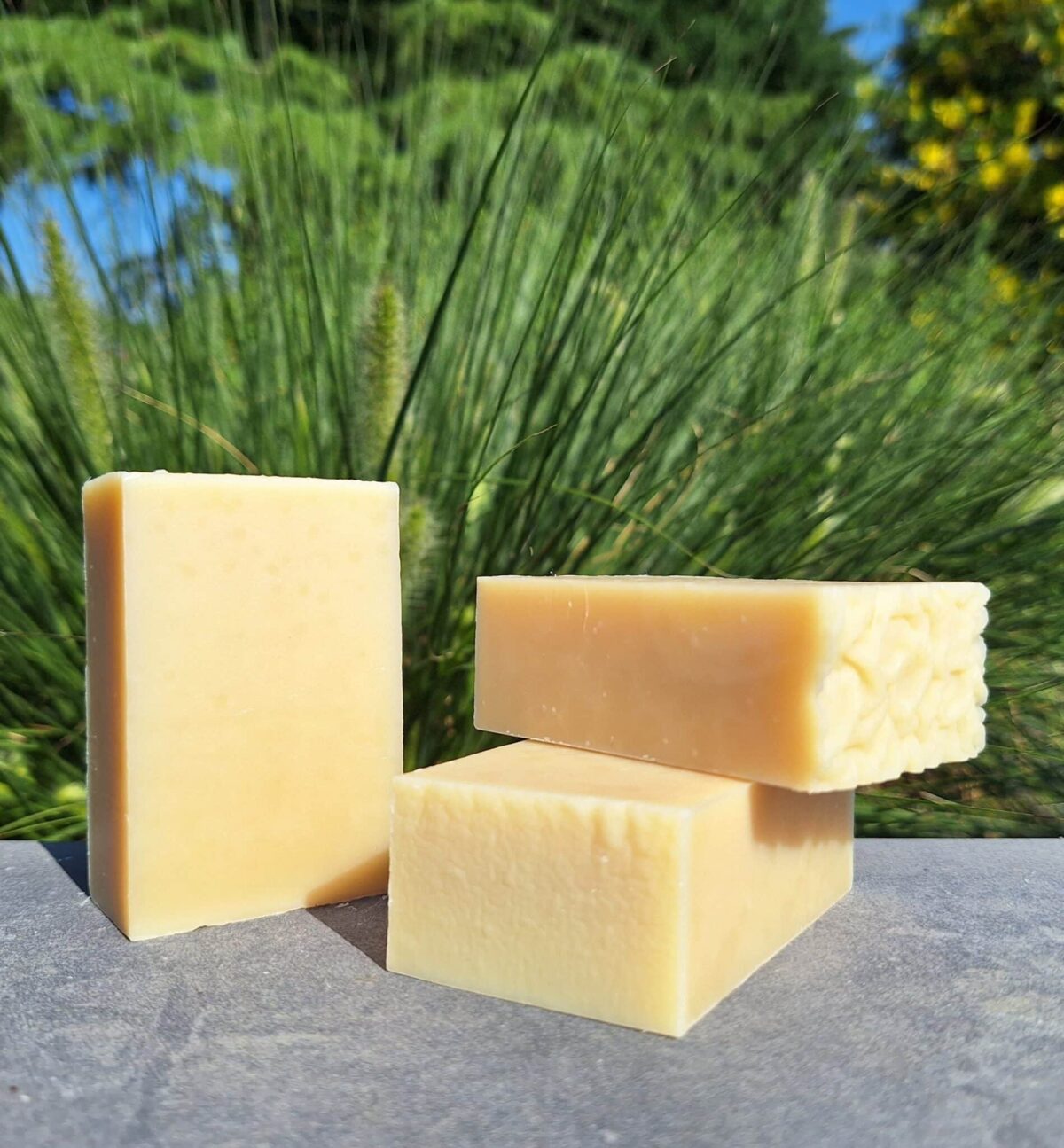 Savons solides Douce Avoine Milléniale sans étiquette, posés sur dallage gris avec décor végétal vert et ciel en arrière-plan.